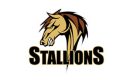 stallions